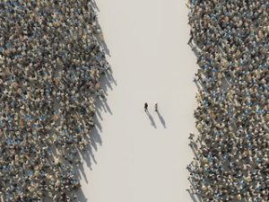 society